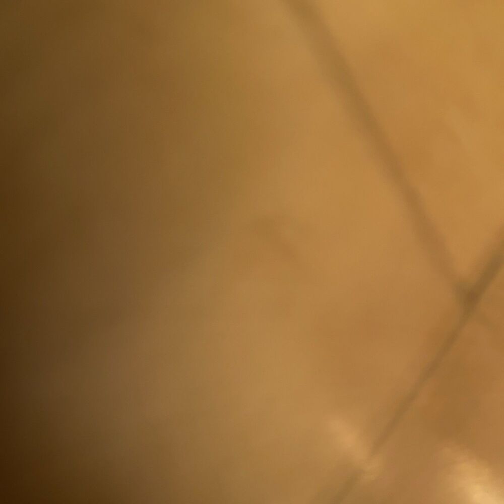 Tribal Jeggings Women’s Size 8 Black Pull On Stretch Elastic Waist - Picture 4 of 12